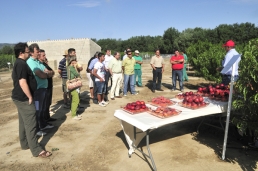 El IRTA estudia la mejora de la productividad de los cultivos de la Ribera d’Ebre en las fincas agrícolas de la central nuclear Ascó